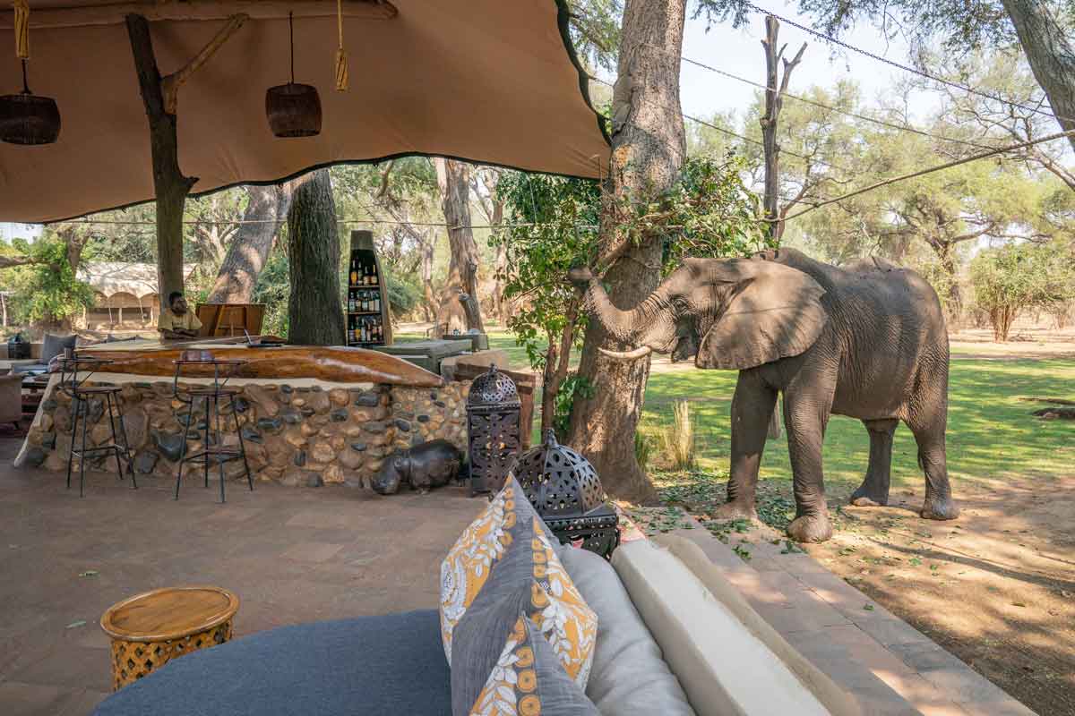 Highlights of Zambia Safari Chongwe River Camp