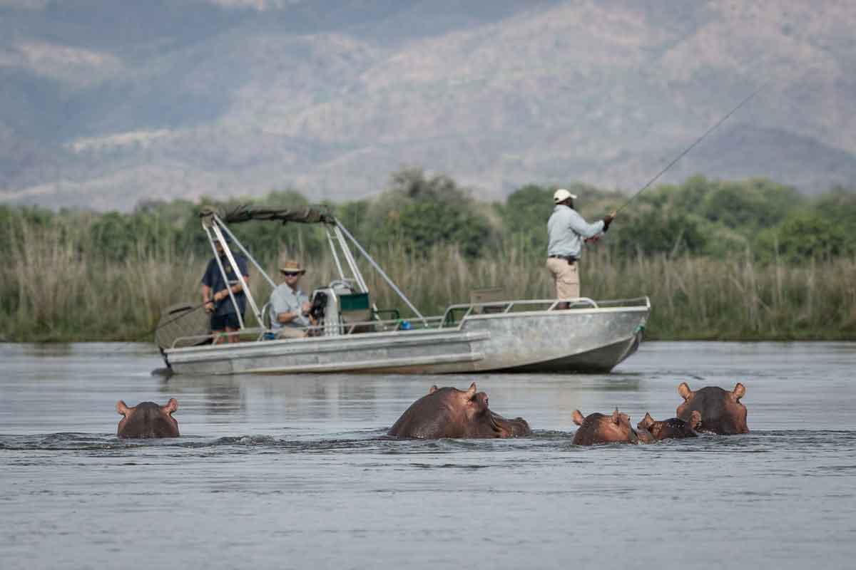 Highlights of Zambia Safari Chongwe River Camp