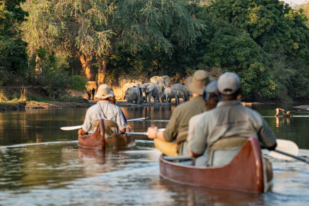 Highlights of Zambia Safari Chongwe River Camp