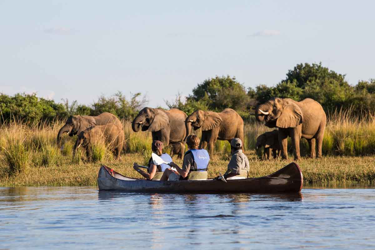 Highlights of Zambia Safari Chongwe River Camp