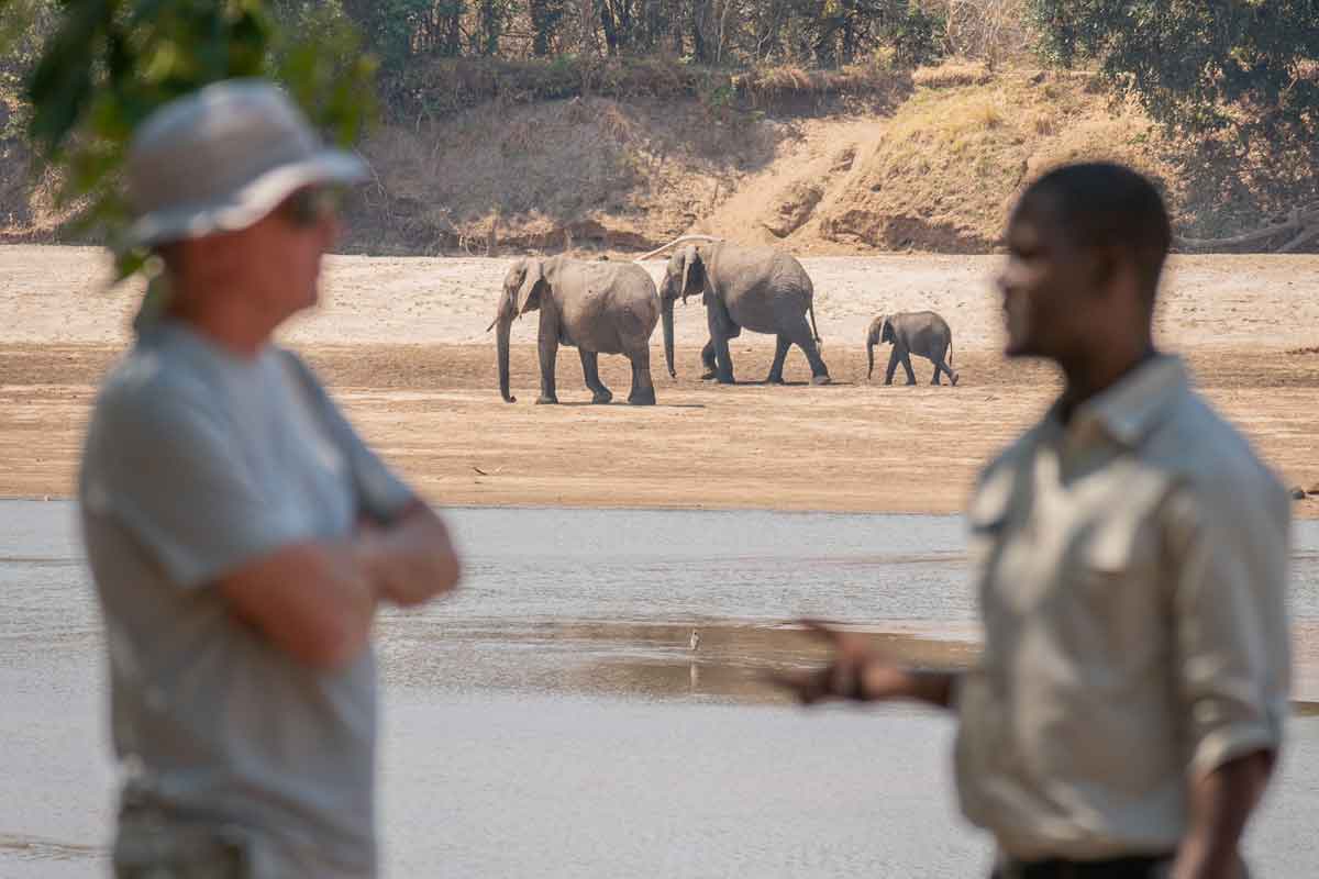 Highlights of Zambia Safari Mchenja Bush Camp