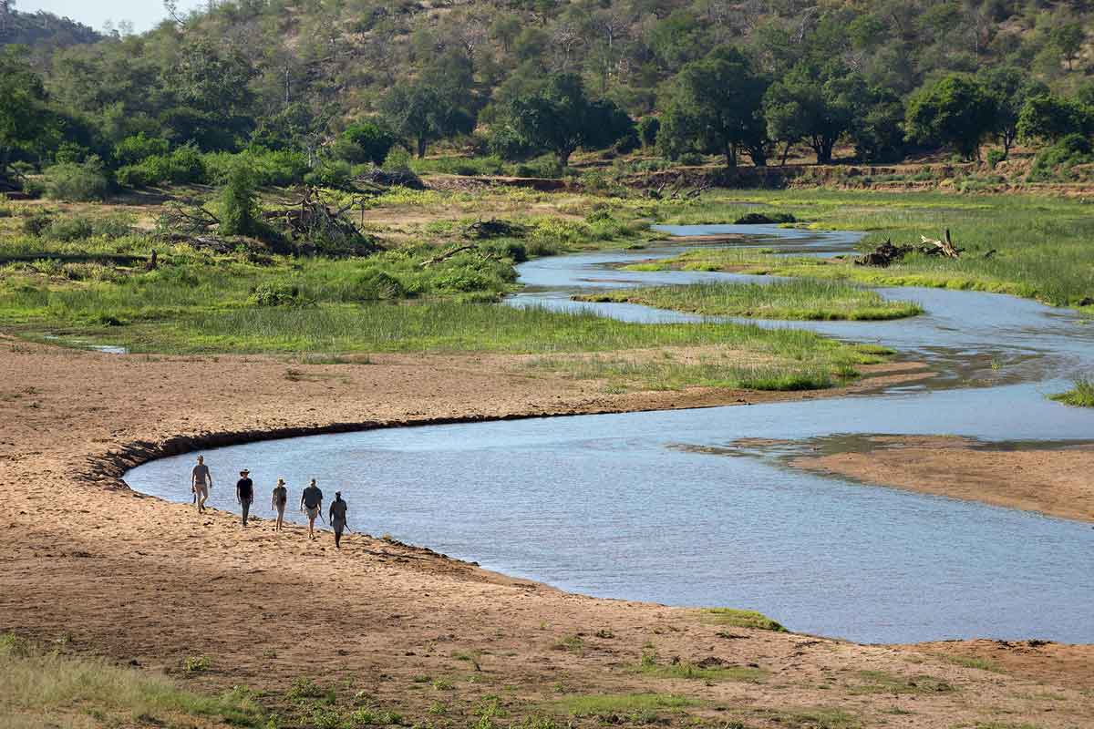 Pafuri Walking Safaris