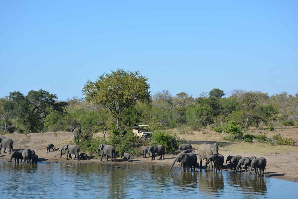 Rhino Walking Safaris Plains Camp