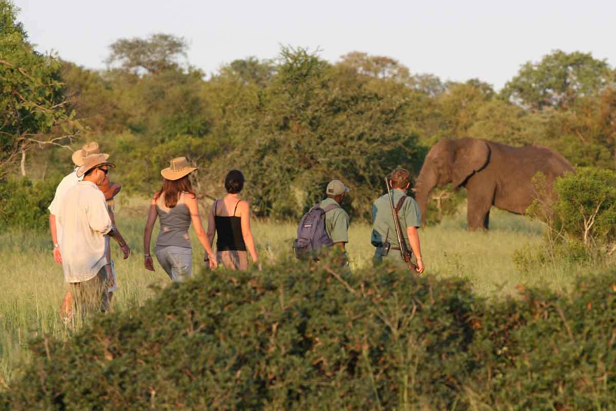 Rhino Walking Safaris Plains Camp