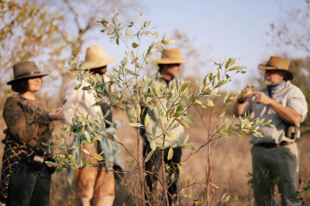 Simbavati Trails Camp