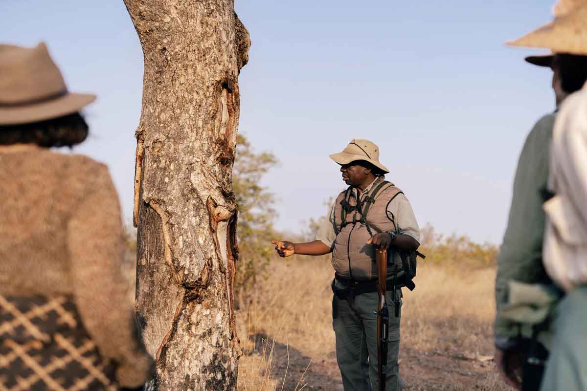 Simbavati Trails Camp