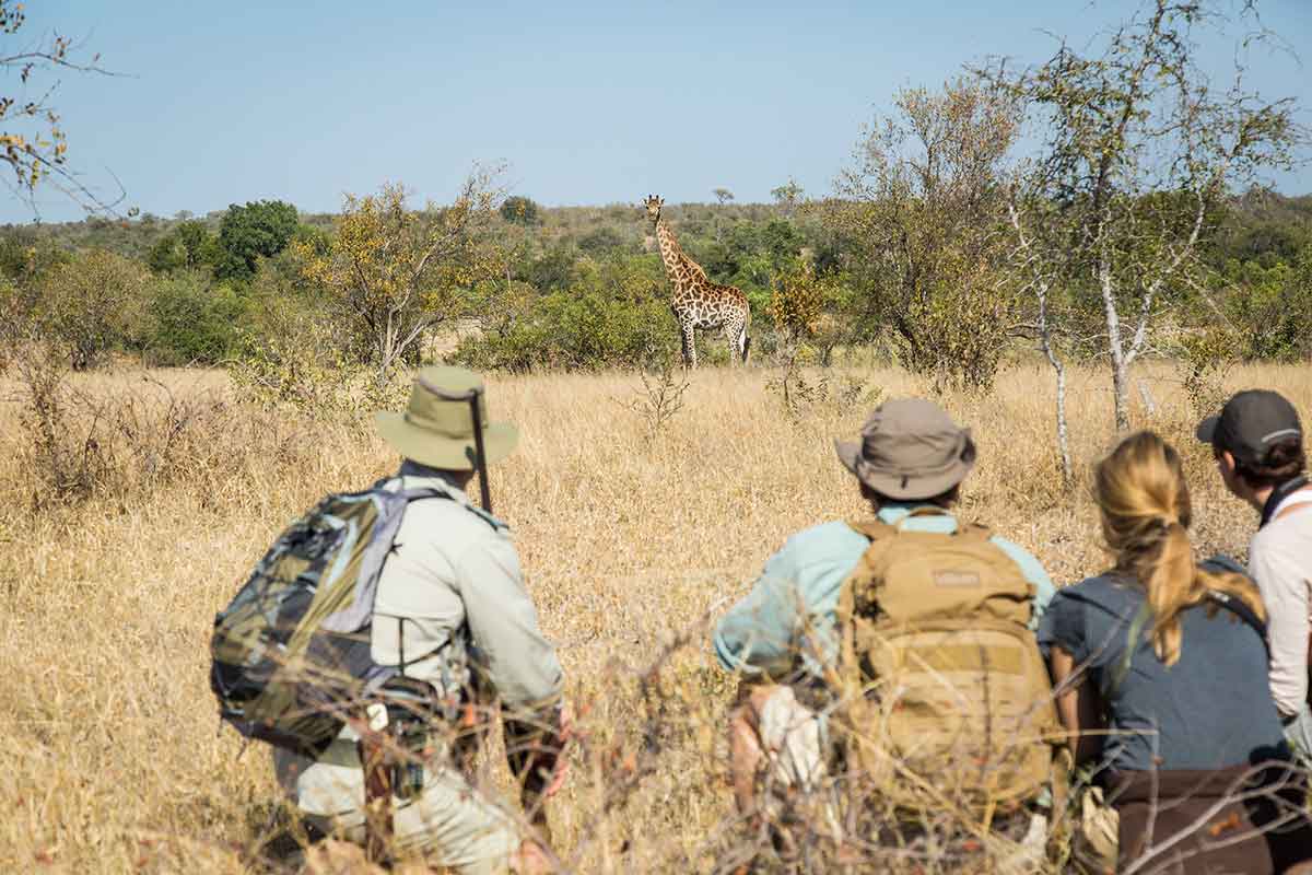 Tanda Tula Field Camp