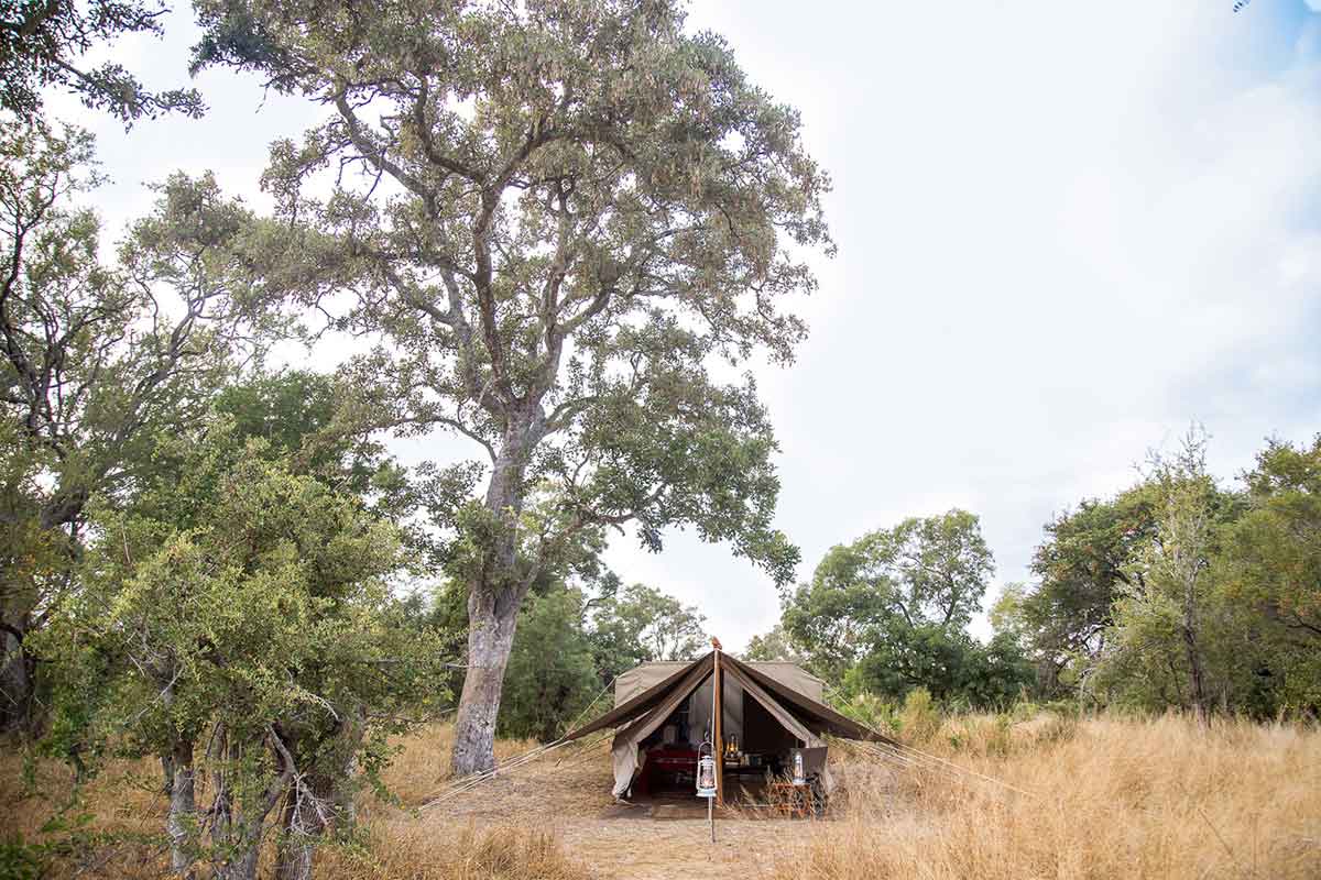 Tanda Tula Field Camp