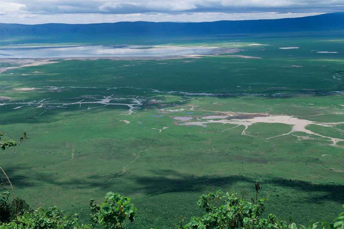 Tanzania Sky Safari