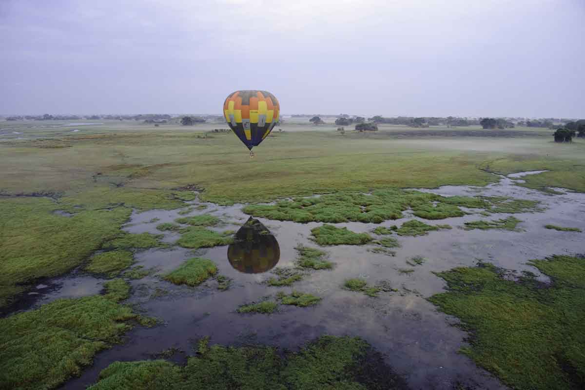 Zambia Safaris Kafue