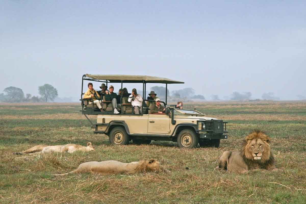 Zambia Safaris Kafue