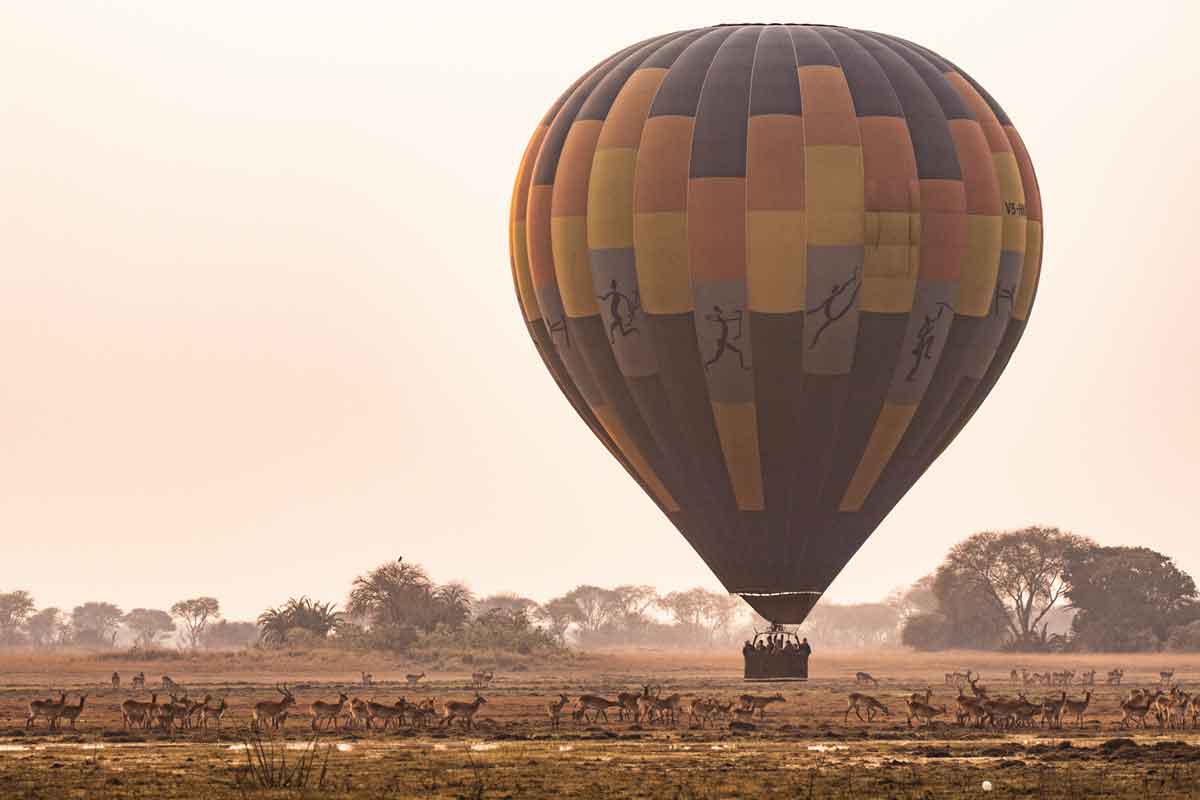 Zambia Safaris Kafue