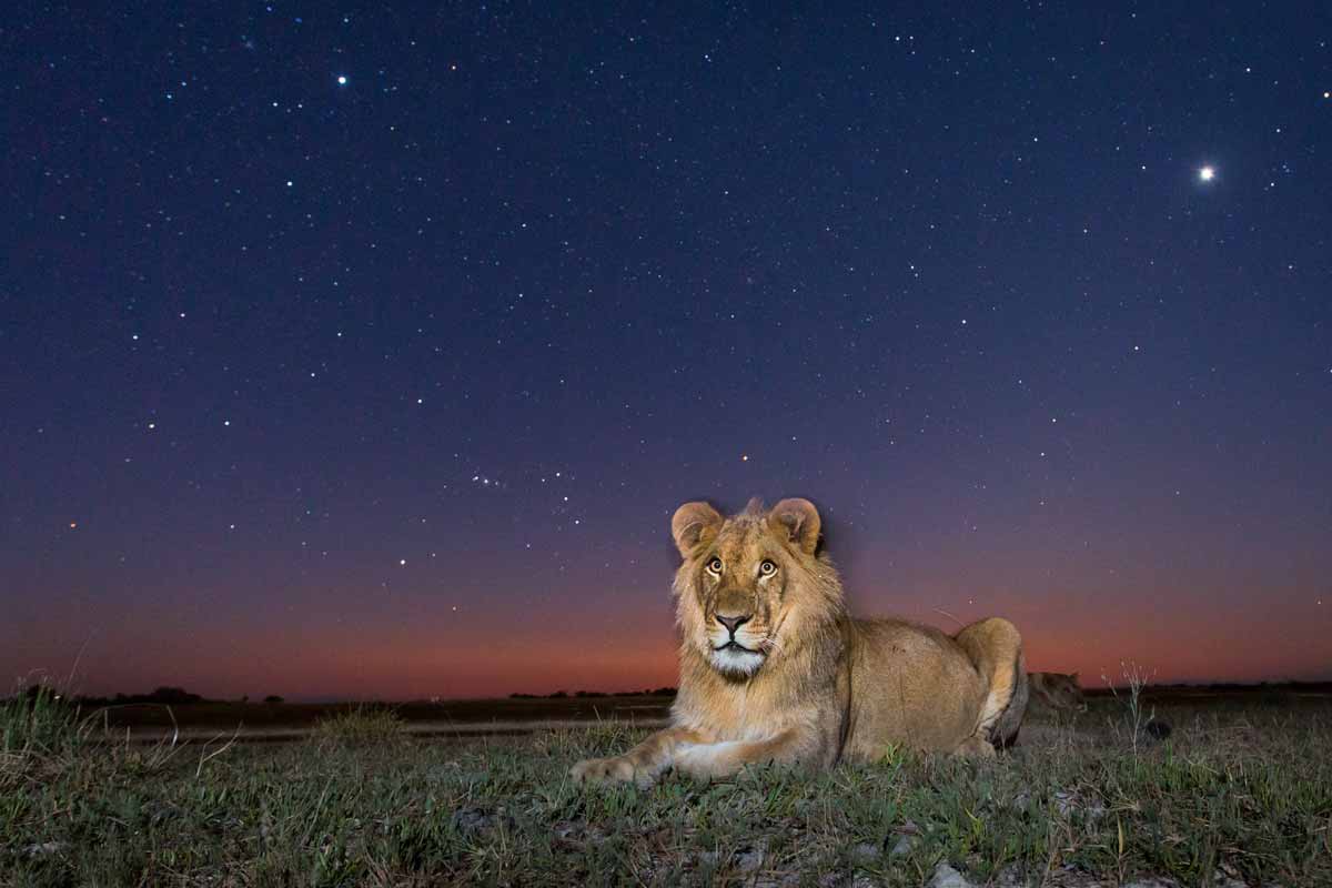 Zambia Safaris Liuwa Plain