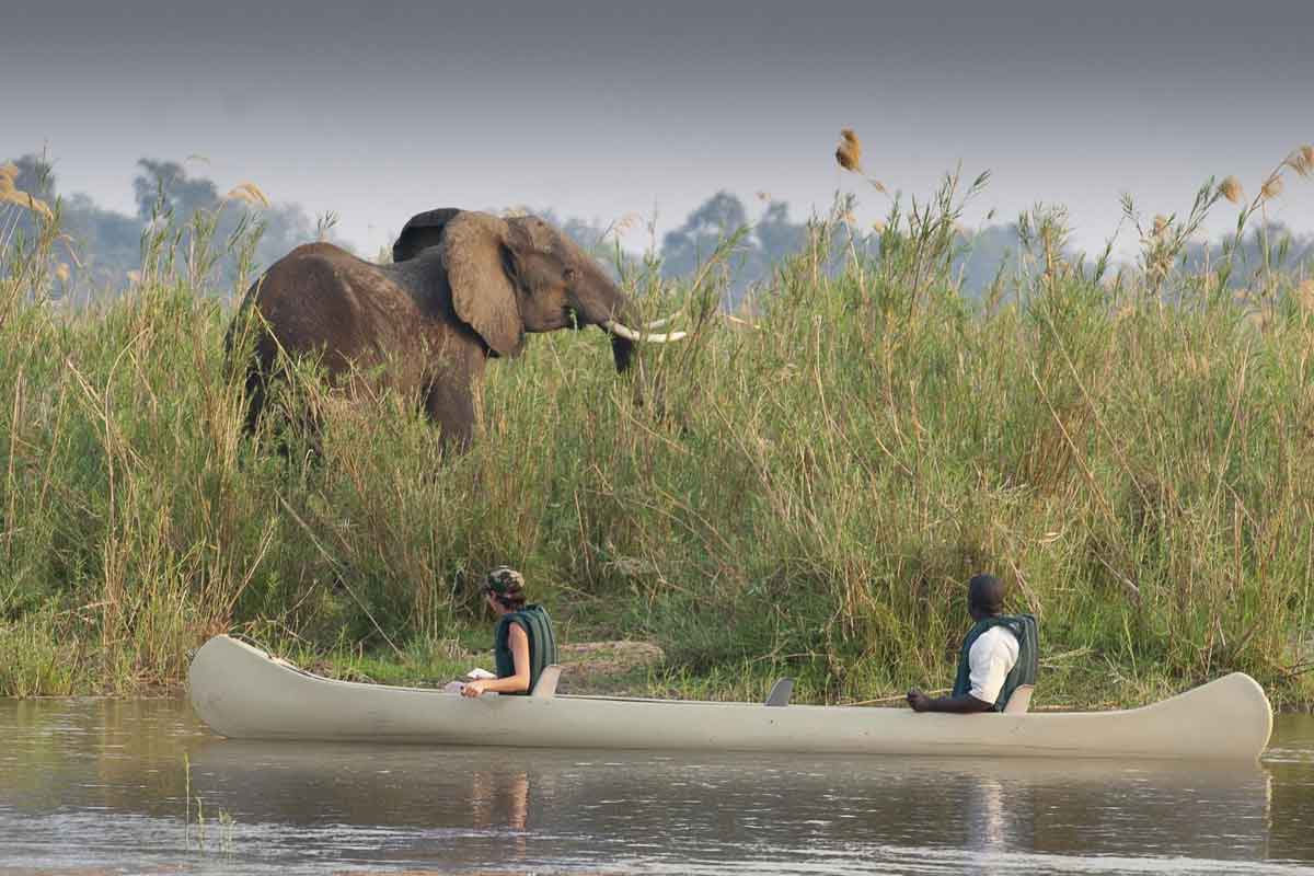 Zambia Safaris Lower Zambezi (1)