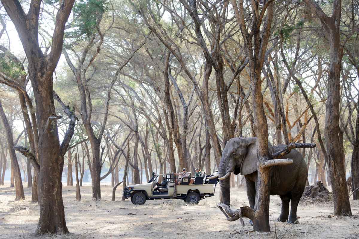 Zambia Safaris Lower Zambezi (1)