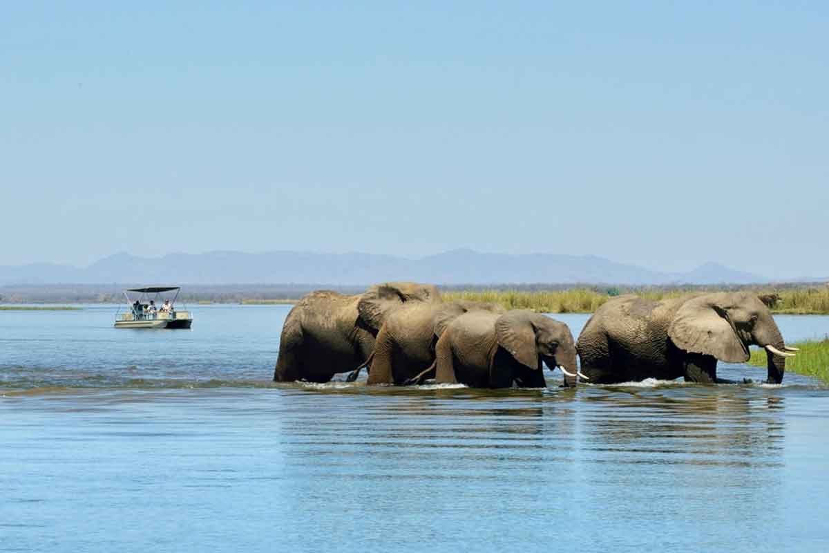 Zambia Safaris Lower Zambezi (1)