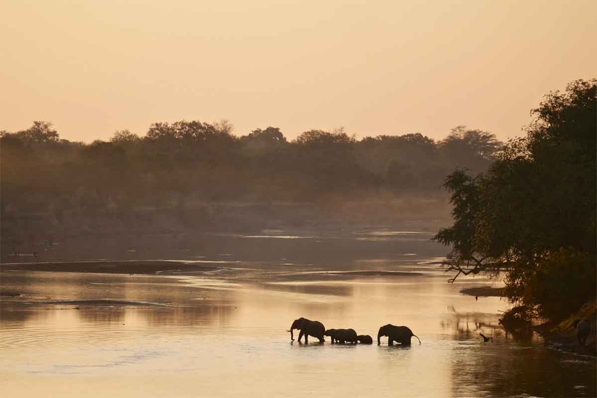 Zambia Safaris South Luangwa (1)