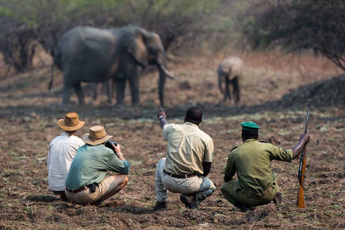 Zambia Safaris South Luangwa (1)