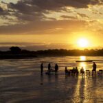 Zambia Safaris South Luangwa Walking Safari (2)