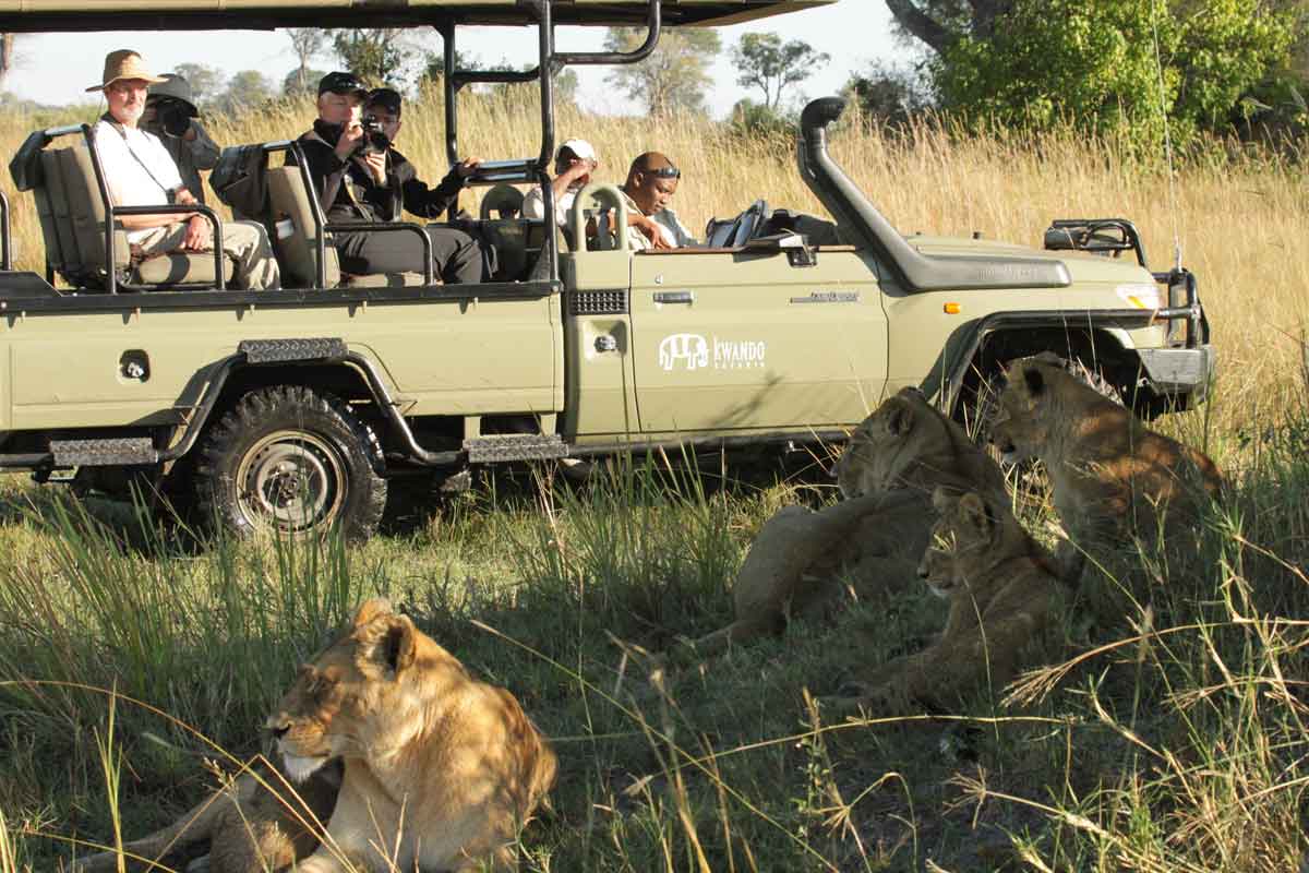 Best of Kwando Safari Botswana Lagoon Camp