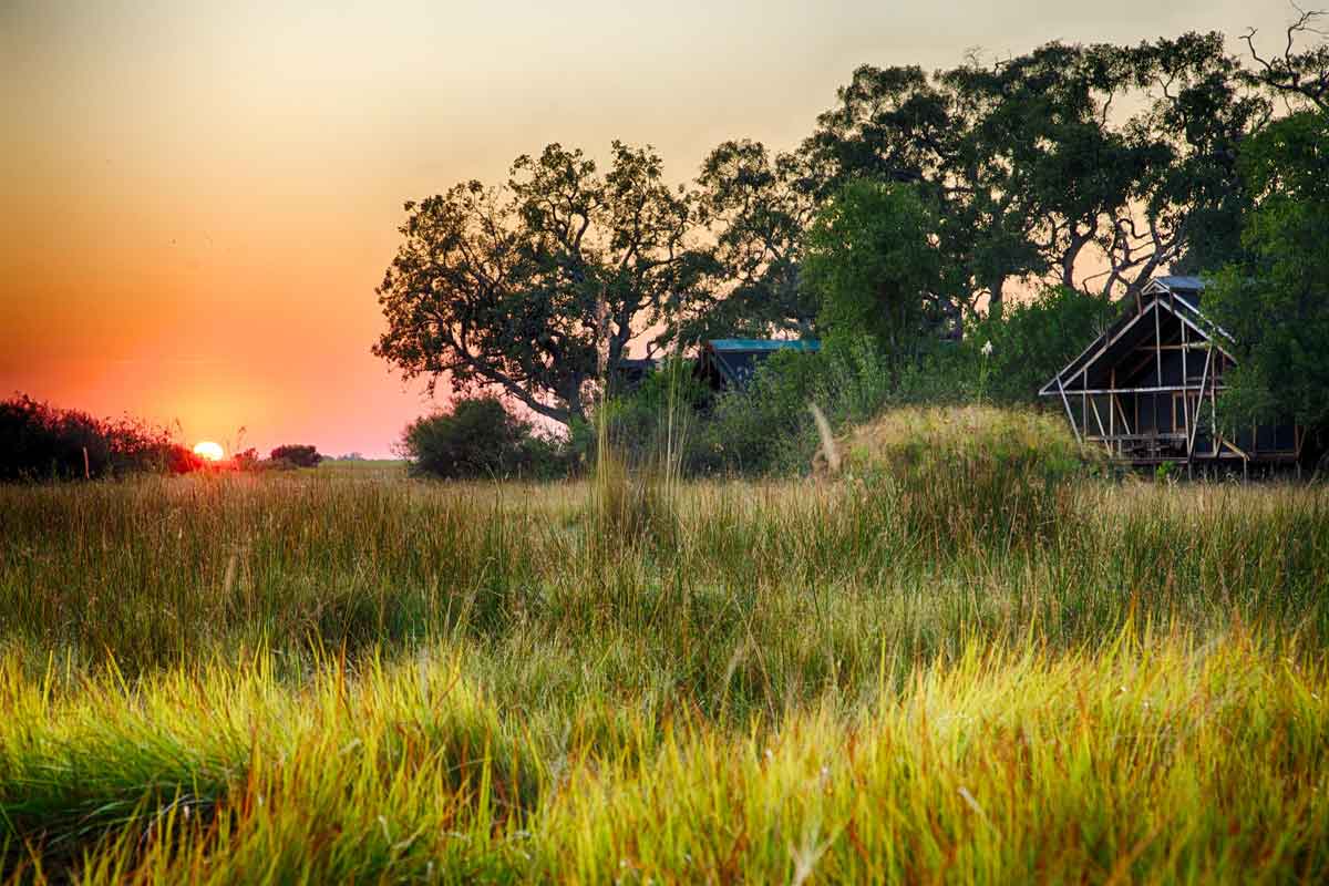 Best of Kwando Safari Botswana Lebala Camp