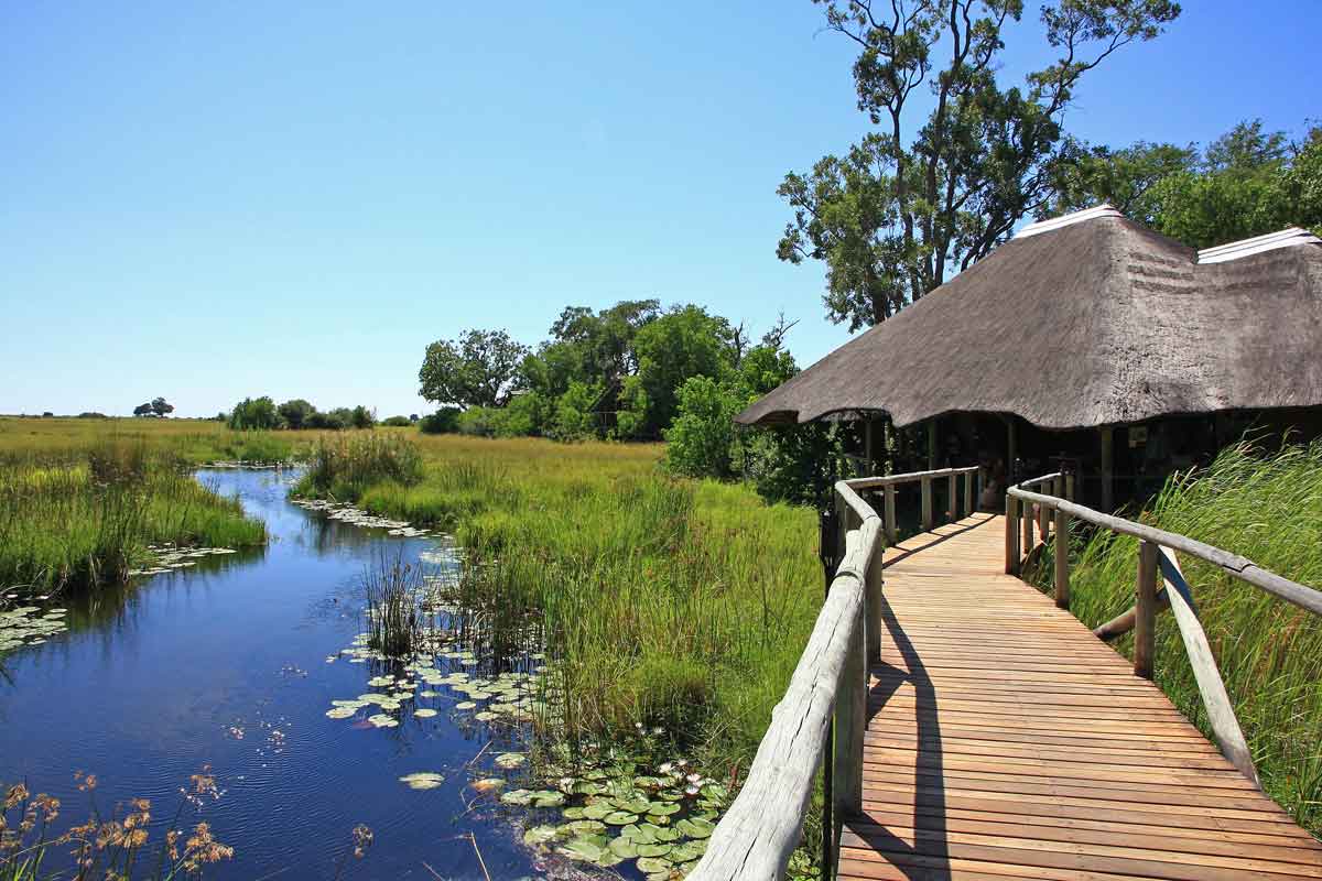 Best of Kwando Safari Botswana Lebala Camp