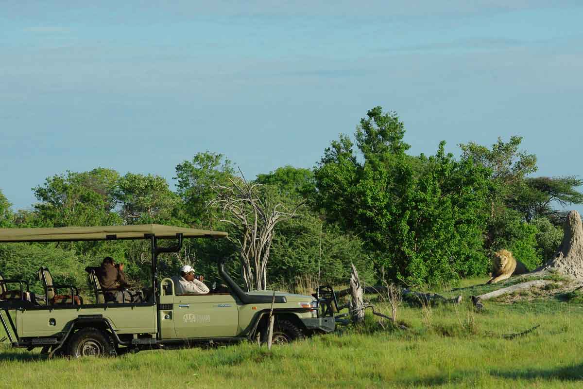 Best of Kwando Safari Botswana Splash Camp