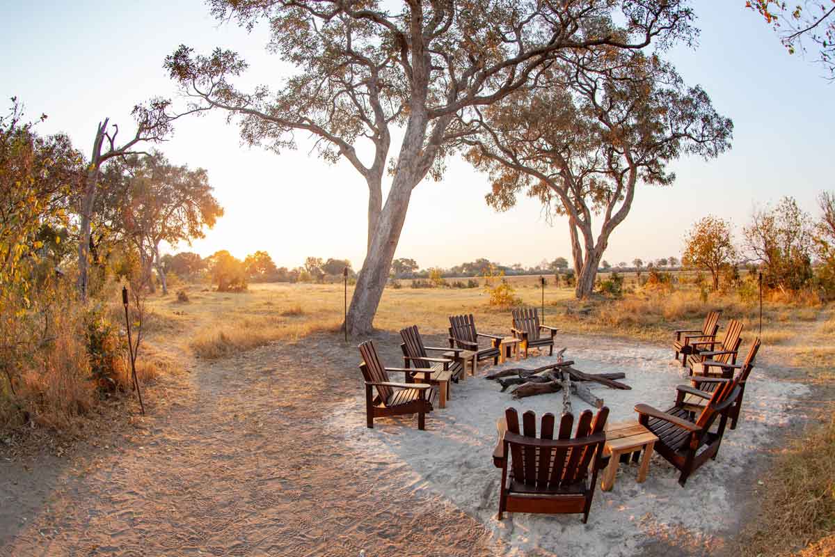 Best of Kwando Safari Botswana Splash Camp