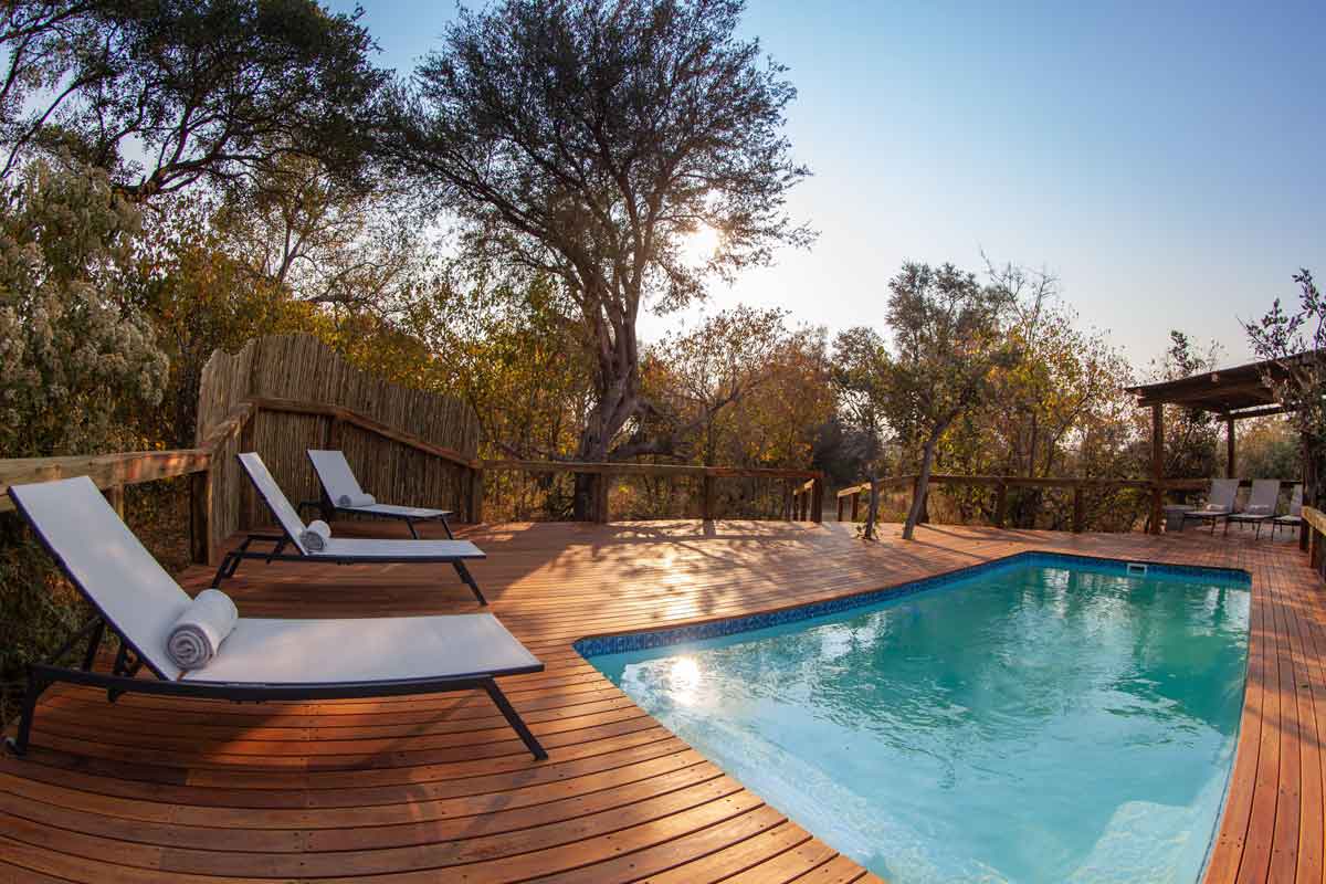 Best of Kwando Safari Botswana Splash Camp