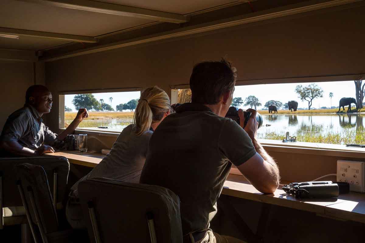 Highlights of Zimbabwe Safari Linkwasha Camp