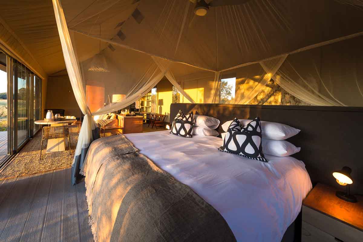 Highlights of Zimbabwe Safari Linkwasha Camp