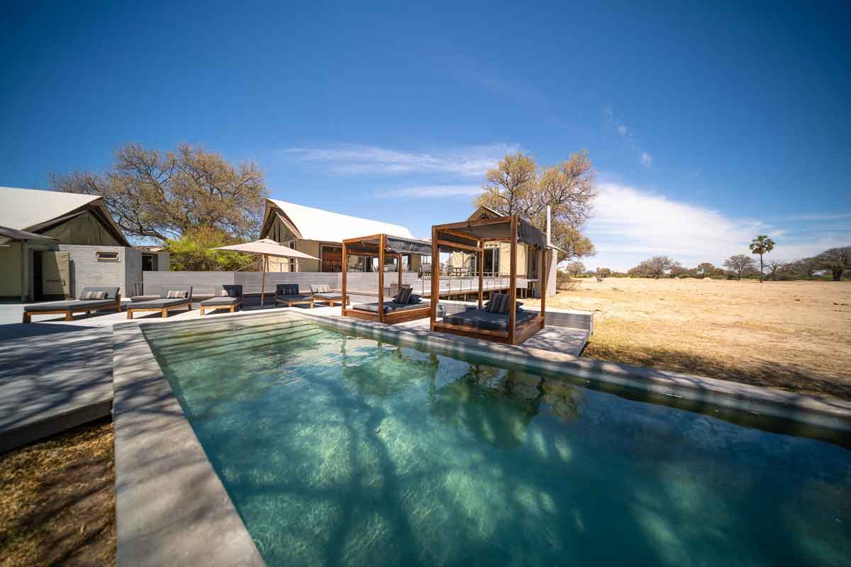 Best of Zimbabwe Safari Linkwasha Camp