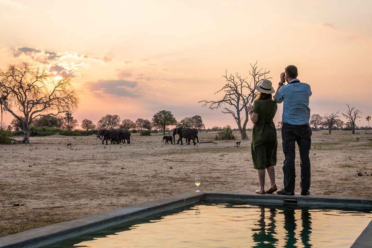 Highlights of Zimbabwe Safari Linkwasha Camp