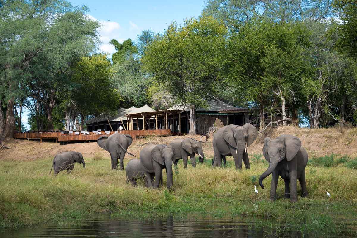 Highlights of Zimbabwe Safari Ruckomechi Camp