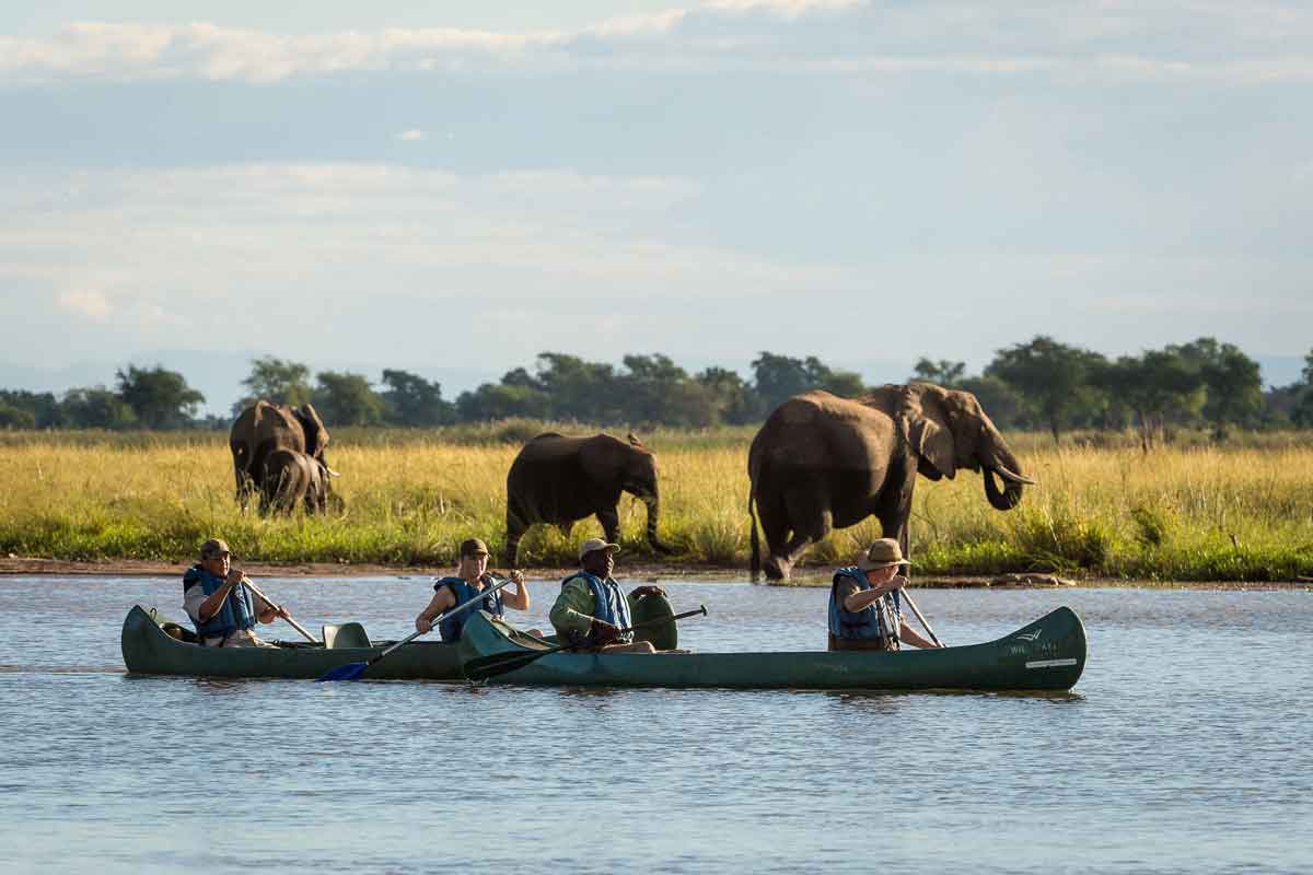 Highlights of Zimbabwe Safari Ruckomechi Camp