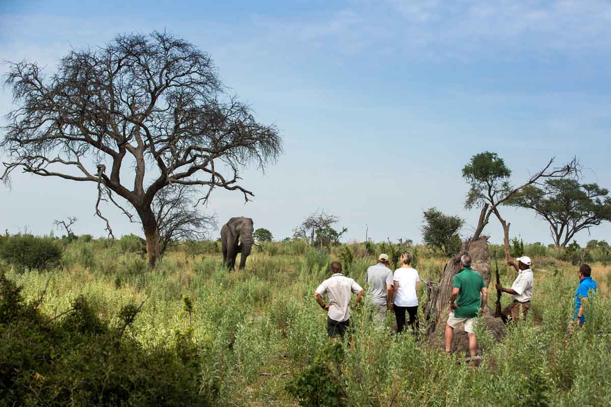 Machaba Safaris Highlights of Botswana Gomoti Plains Camp