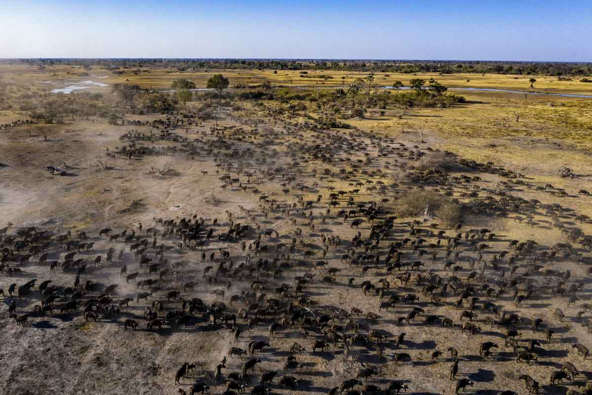 Machaba Safaris Highlights of Botswana Gomoti Plains Camp