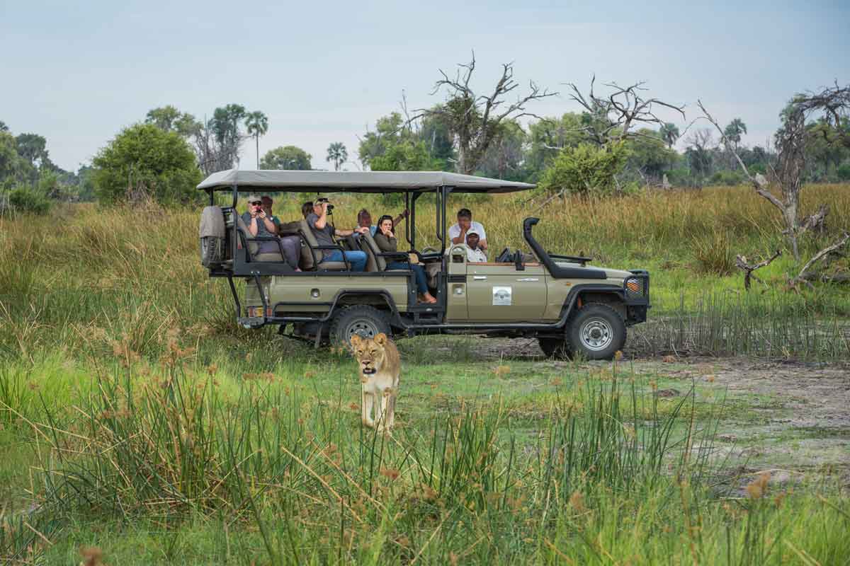 Machaba Safaris Highlights of Botswana Gomoti Plains Camp