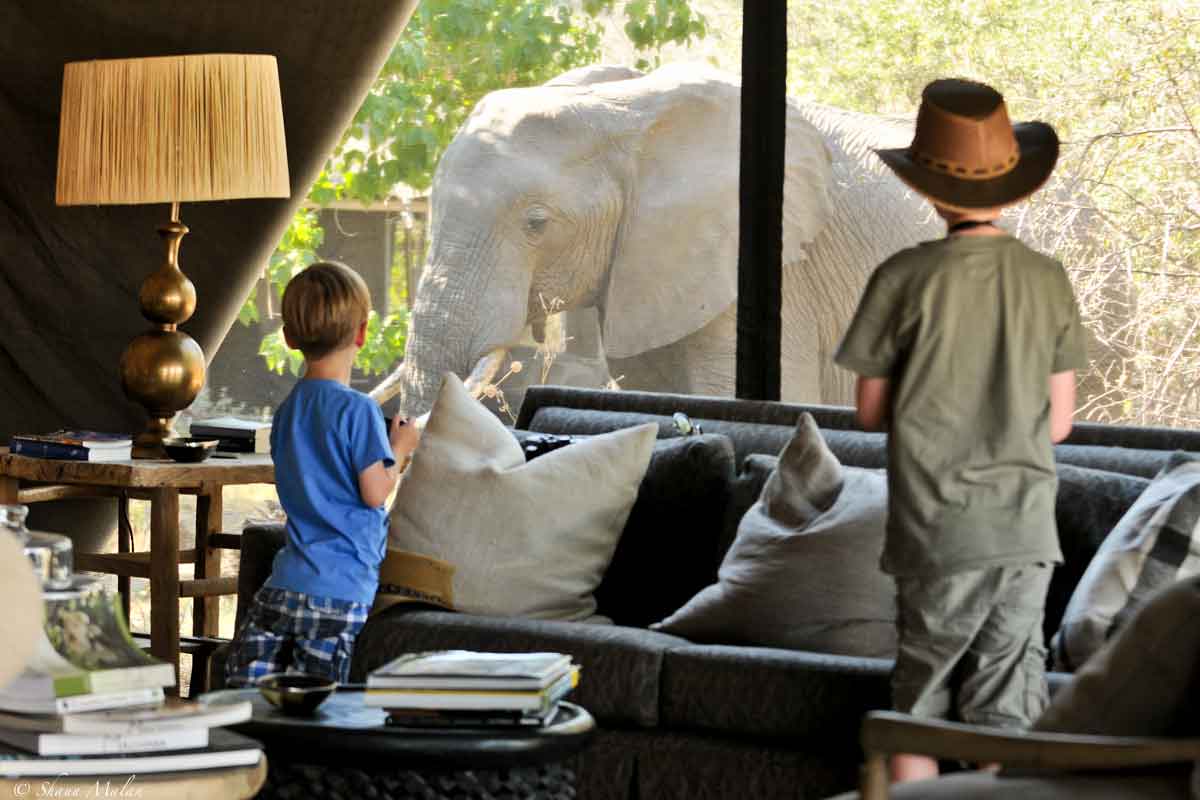 Machaba Safaris Highlights of Botswana Machaba camp