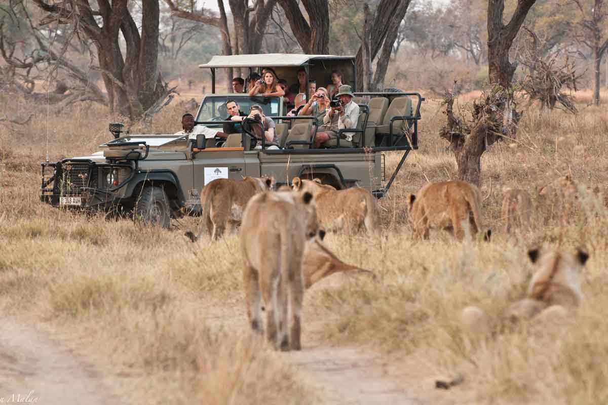 Machaba Safaris Highlights of Botswana Machaba camp