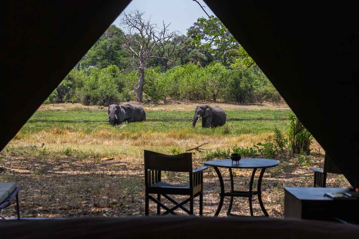 Machaba Safaris Highlights of Botswana Machaba camp