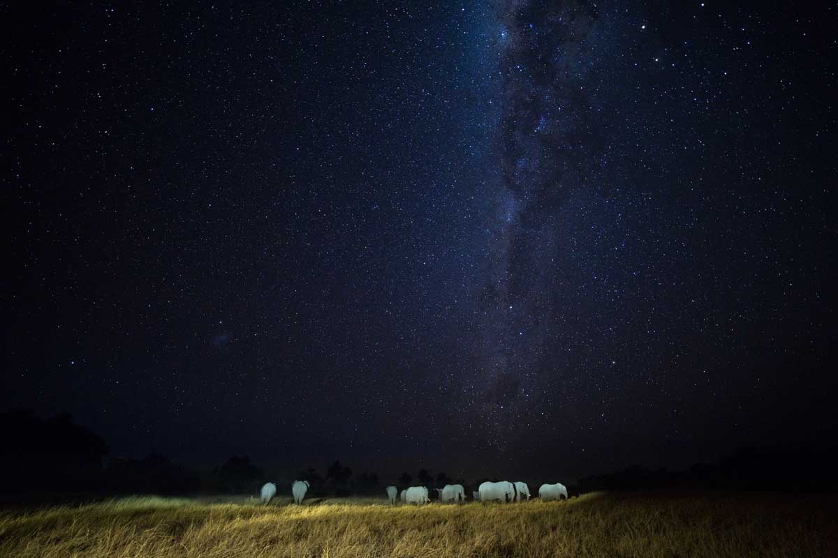 Machaba Safaris Highlights of Botswana Machaba camp