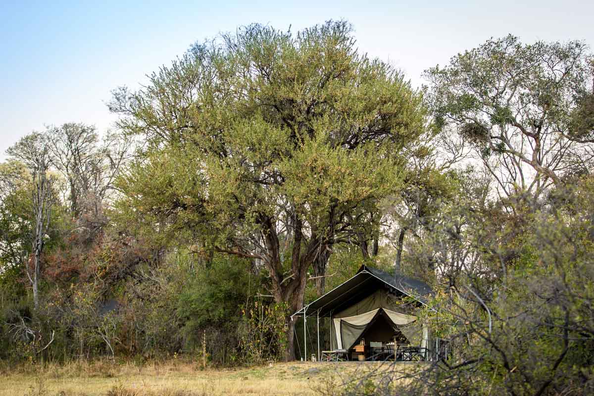 Machaba Safaris Highlights of Botswana Machaba camp