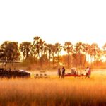 Savuti & Okavango Delta Safari Chitabe Camp