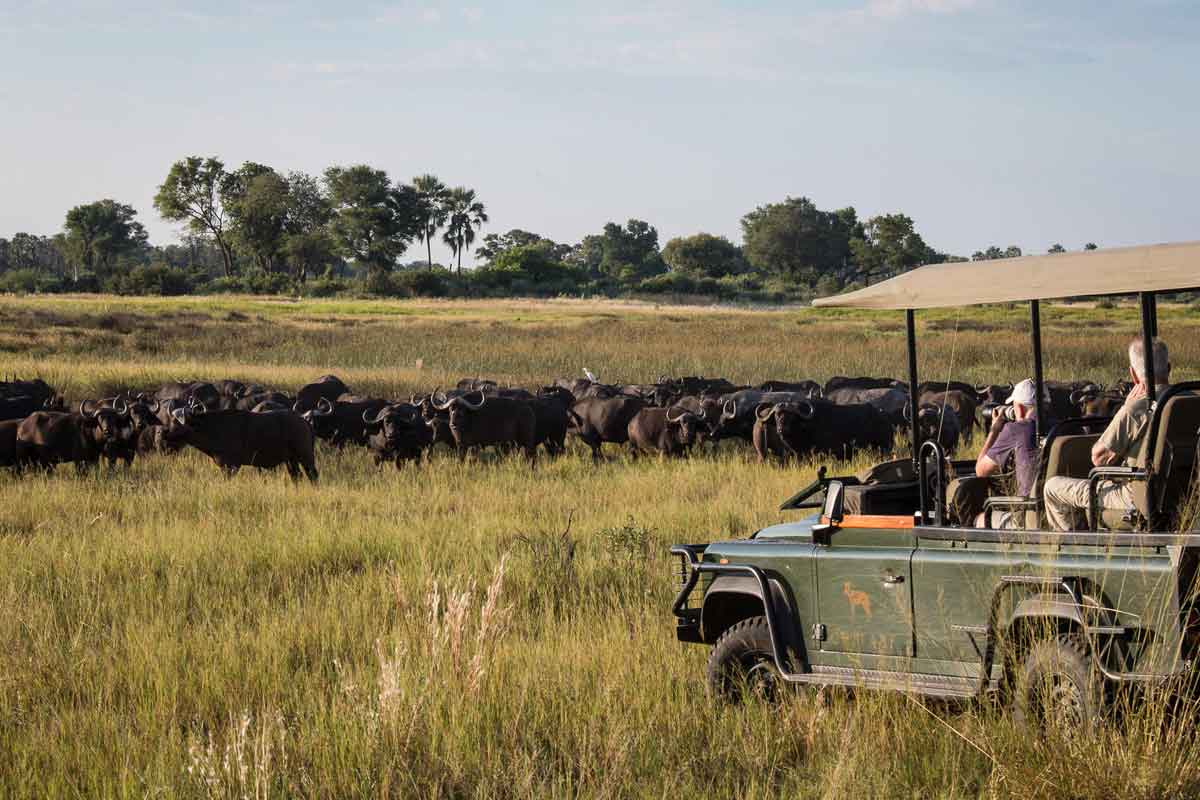 Savuti & Okavango Delta Safari Chitabe Camp