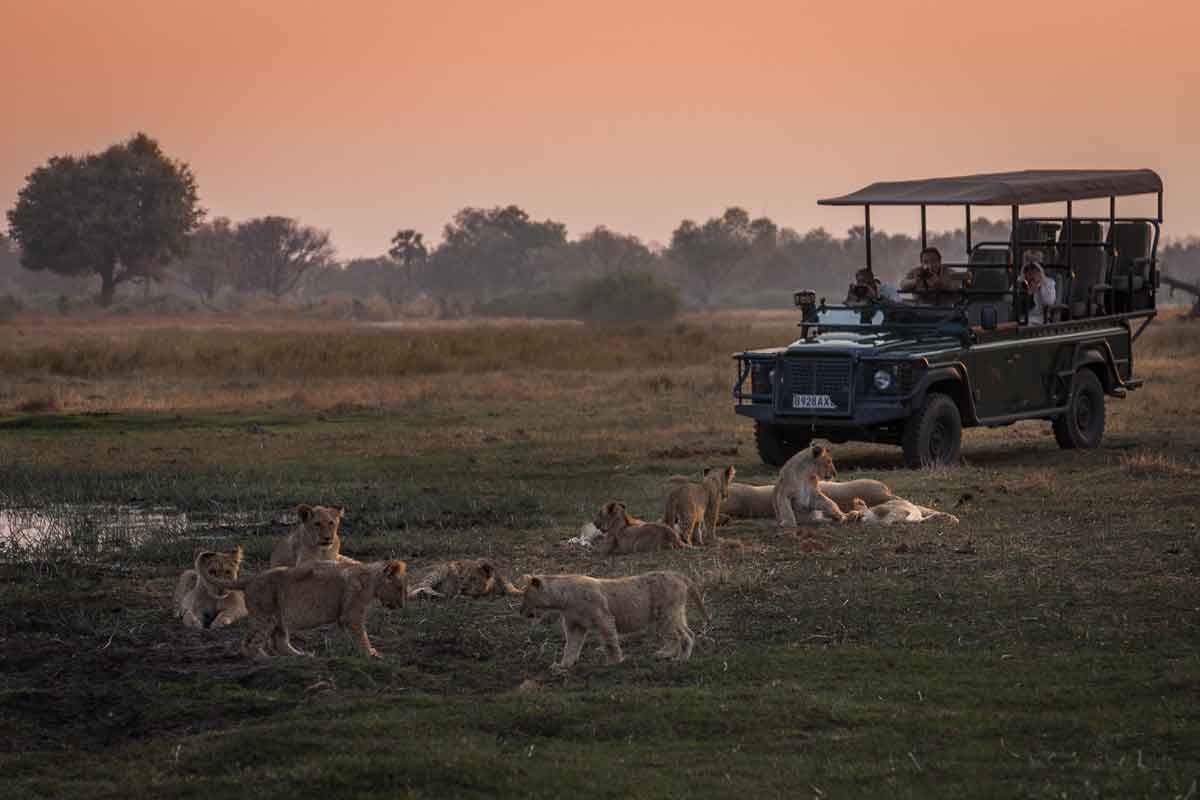 Savuti & Okavango Delta Safari Chitabe Camp
