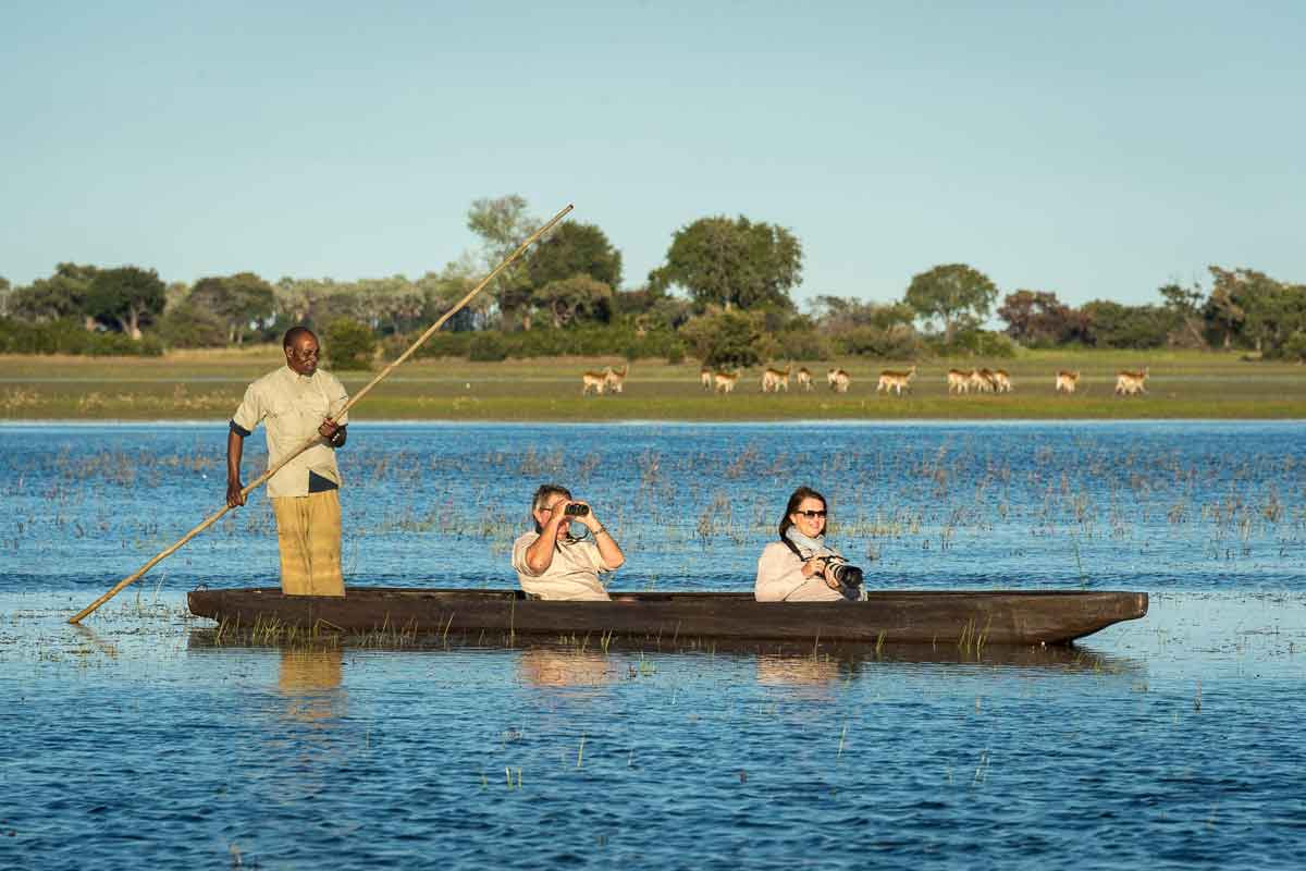 Savuti & Okavango Delta Safari Jacana Camp