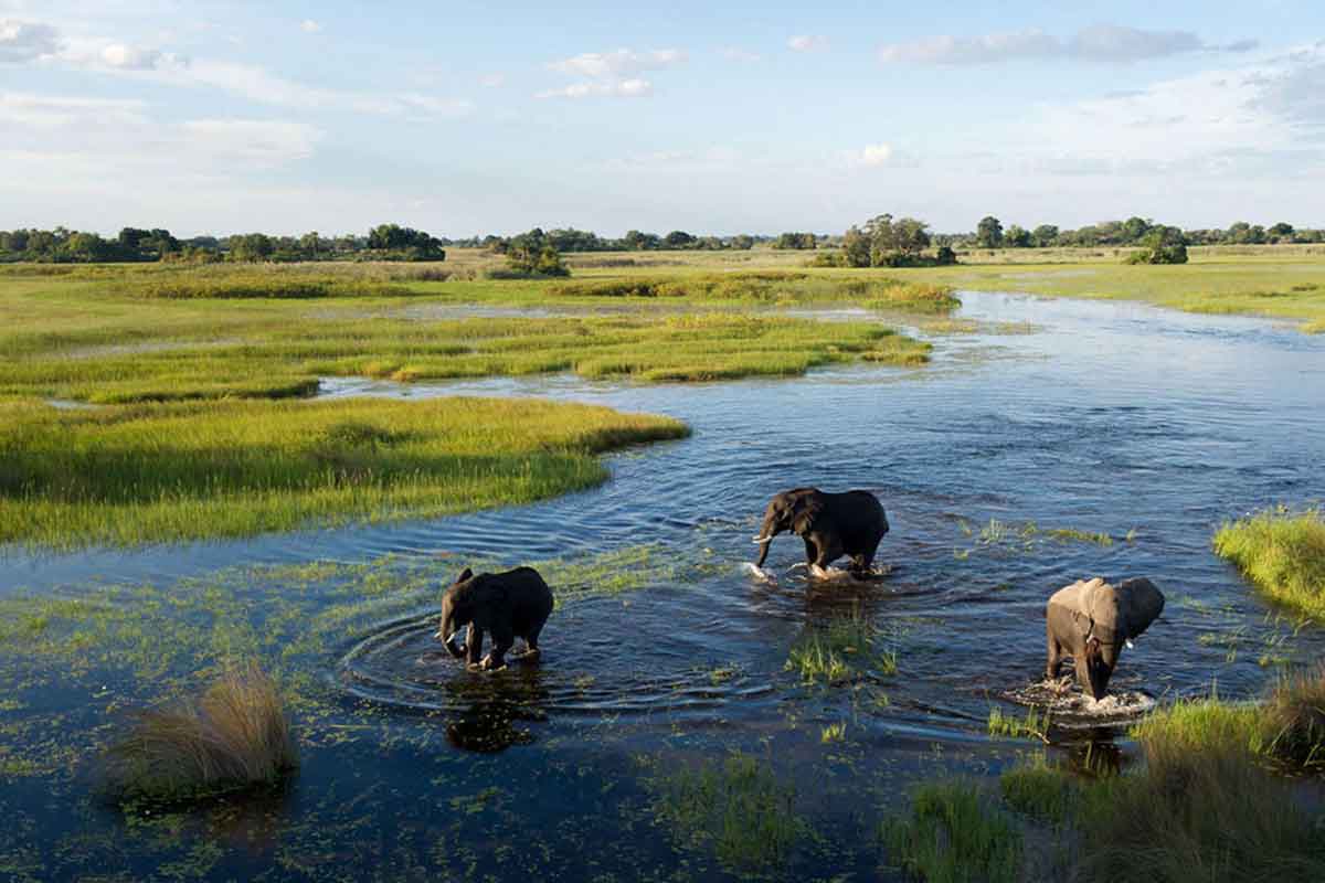 Savuti & Okavango Delta Safari Jacana Camp