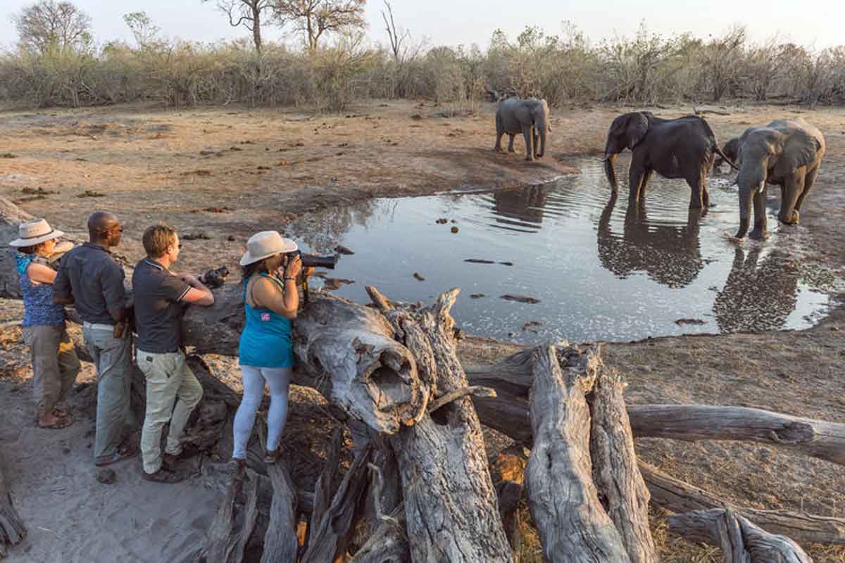 Savuti & Okavango Delta Safari Savuti Camp