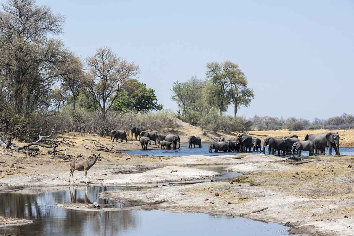 Savuti & Okavango Delta Safari Savuti Camp